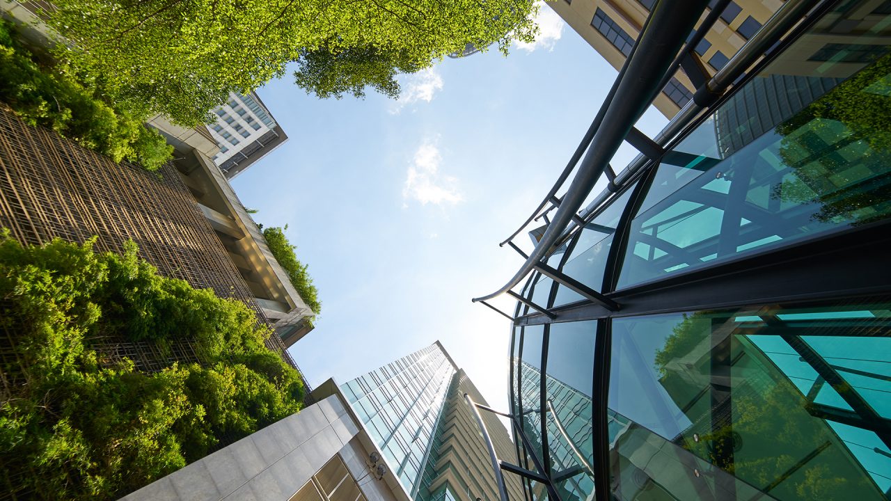 modern office building with green leaves
